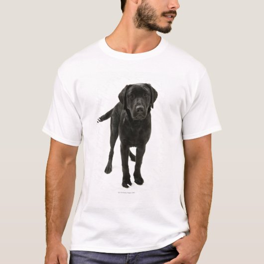 Schwarzes labrador retriever T-Shirt (Vorderseite)