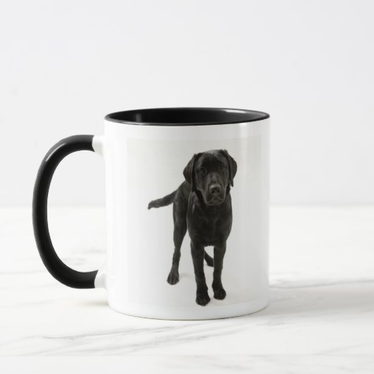 Schwarzes labrador retriever tasse (Links)