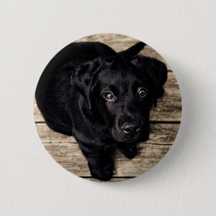 Schwarzes Labrador Retriever Welpe auf Holz Button