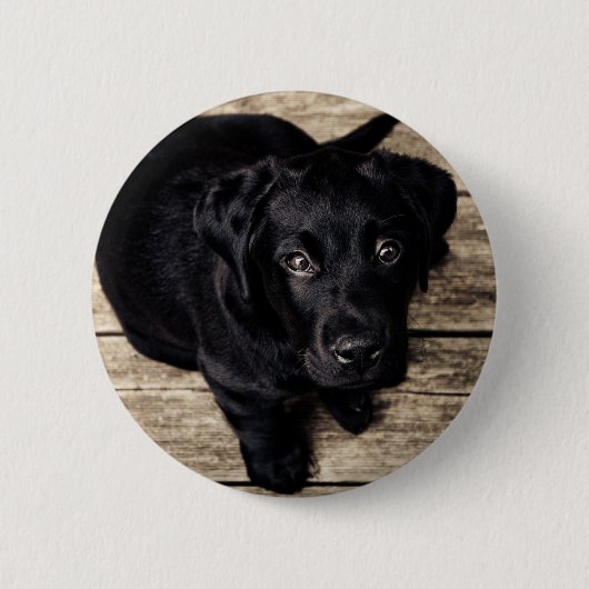 Schwarzes Labrador Retriever Welpe auf Holz Button (Vorderseite)