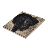 Schwarzes Labrador Retriever Welpe auf Holz Fliese (Seite)