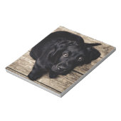 Schwarzes Labrador Retriever Welpe auf Holz Notizblock (Rotiert)