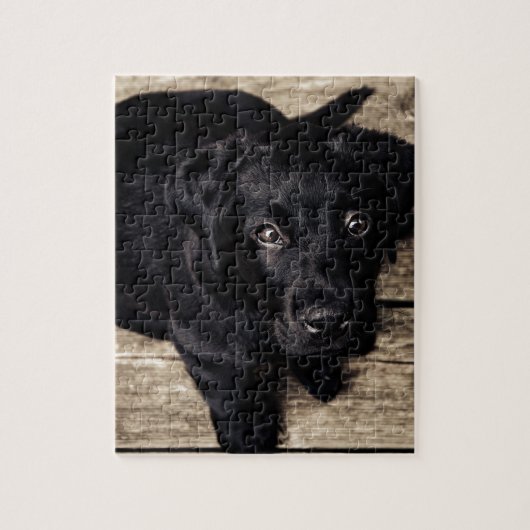Schwarzes Labrador Retriever Welpe auf Holz Puzzle (Vertikal)