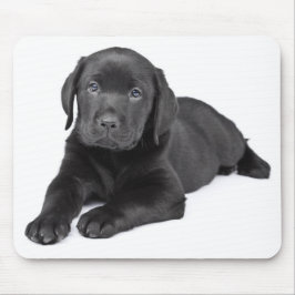 Schwarzes Labrador-Retriever-Welpenmousepad Mousepad