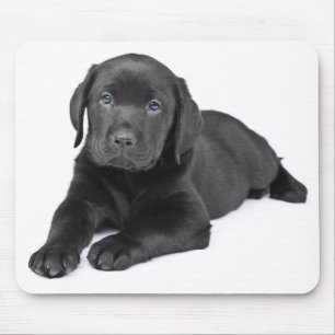 Schwarzes Labrador-Retriever-Welpenmousepad Mousepad