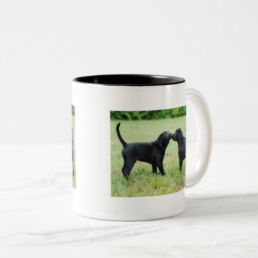 Schwarzes Labrador retriever Zweifarbige Tasse (VorderseiteRechts)