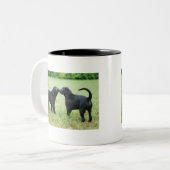 Schwarzes Labrador retriever Zweifarbige Tasse (Vorderseite Links)
