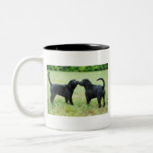 Schwarzes Labrador retriever Zweifarbige Tasse (Links)