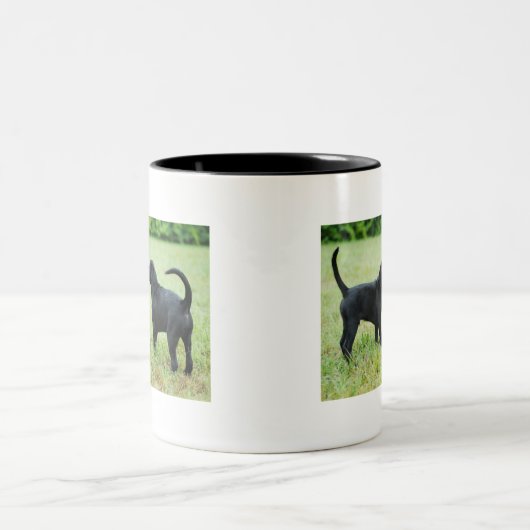 Schwarzes Labrador retriever Zweifarbige Tasse (Mittel)