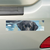 Schwarzes Labrador-Schwimmmuster Autoaufkleber (Auf Auto)