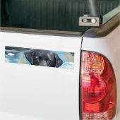 Schwarzes Labrador-Schwimmmuster Autoaufkleber (Auf Lkw)