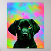 Schwarzes Labrador vor einem farbenfrohen Poster (Vorne)