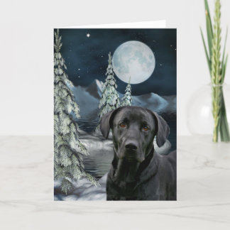 Schwarzes Labrador Weihnachten