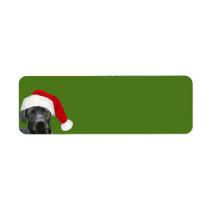Schwarzes Labrador Weihnachten