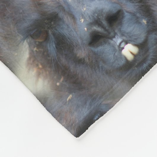 Schwarzes Lama-Gesicht Tiermuster Fleecedecke (Ecke)