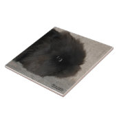 Schwarzes Lionhead Kaninchen Fliese (Seite)