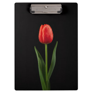Schwarzes Luxus-Clipboard 4 mit Rubinroter Tulpe Klemmbrett