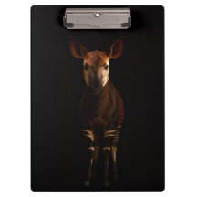 Schwarzes Luxus-Clipboard 4, Okapi im Wald