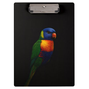 Schwarzes Luxus-Clipboard mit Regenbogenlori-Papag Klemmbrett