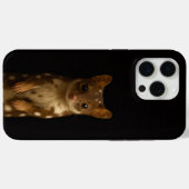 Schwarzes Luxus-iPhone 15 Pro Max, Sweet Quoll Case-Mate iPhone Hülle (Rückseite (Horizontal))