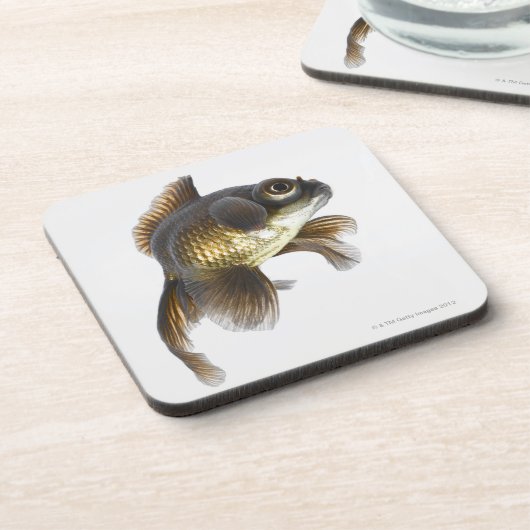 Schwarzes machen Goldfisch (Carassius auratus) 2 Getränkeuntersetzer (Linke Seite)