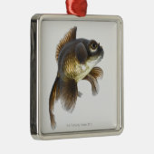 Schwarzes machen Goldfisch (Carassius auratus) 2 Silbernes Ornament (Rechts)