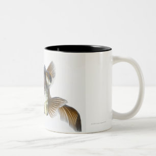 Schwarzes machen Goldfisch fest (Carassius Zweifarbige Tasse
