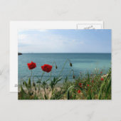 Schwarzes Meer und Rote Pflaumen Postkarte (Vorne/Hinten)