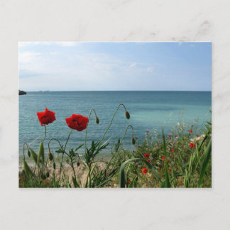 Schwarzes Meer und Rote Pflaumen Postkarte