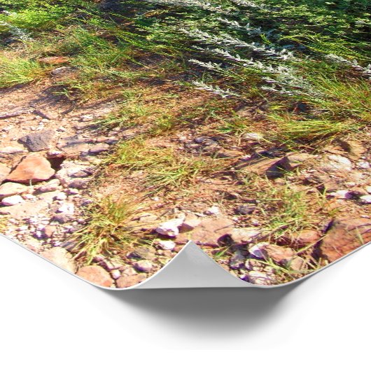 Schwarzes Mesa Plateau betreten (Farbe gesättigt) Poster (Ecke)