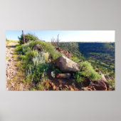 Schwarzes Mesa Plateau betreten (Farbe gesättigt) Poster (Vorne)