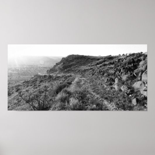 Schwarzes Mesa-Plateau (Farbe desaturiert) Poster (Vorne)