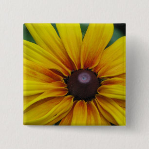 Schwarzes mit Augen Susan-Blumen-Quadrat-Button Button