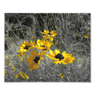 Schwarzes mit Augen Susans Fotodruck