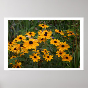 Schwarzes mit Augen Susans Poster