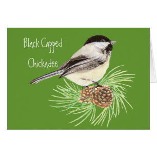 Schwarzes mit einer Kappe bedeckter Chickadee -