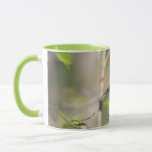 Schwarzes mit einer Kappe bedeckter Chickadee auf Tasse (Links)