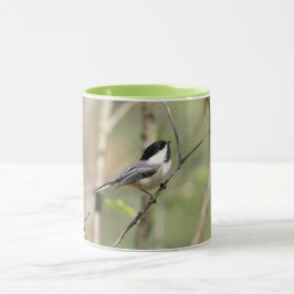 Schwarzes mit einer Kappe bedeckter Chickadee auf Tasse