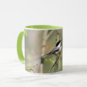 Schwarzes mit einer Kappe bedeckter Chickadee auf Tasse (Vorderseite Links)