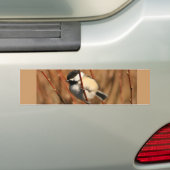 Schwarzes mit einer Kappe bedeckter Chickadee Autoaufkleber (Auf Auto)