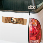 Schwarzes mit einer Kappe bedeckter Chickadee Autoaufkleber (Auf Lkw)