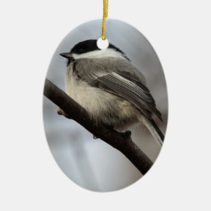 Schwarzes mit einer Kappe bedeckter Chickadee Keramikornament