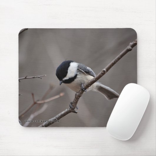 Schwarzes mit einer Kappe bedeckter Chickadee Mousepad (Mit Mouse)