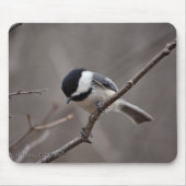 Schwarzes mit einer Kappe bedeckter Chickadee Mousepad (Vorne)