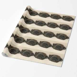 Schwarzes Mops-Welpen-Schlafen Geschenkpapier