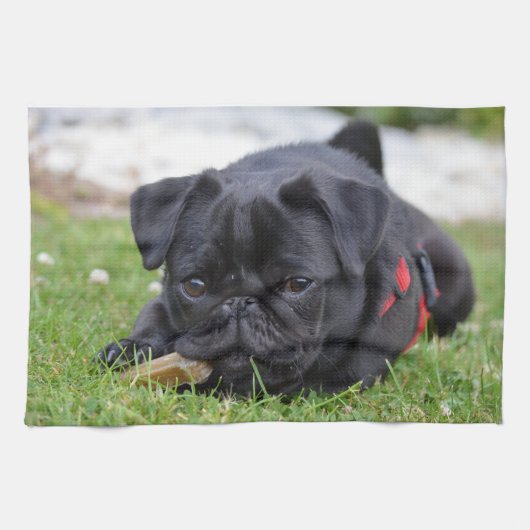 schwarzes Mopslegen Geschirrtuch (Horizontal)