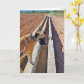 Schwarzes Mouth Cur Dog Portrait Karte (Gelbe Blume)