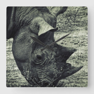 Schwarzes Nashorn, das, Schmutz, einfarbig weiden Quadratische Wanduhr
