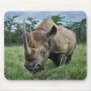 Schwarzes Nashorn Kenia Mousepad