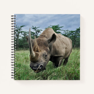Schwarzes Nashorn Kenia Notizblock